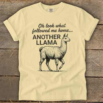Light yellow t-shirt with "Oh look what followed me home... ANOTHER LLAMA" and llama illustration.