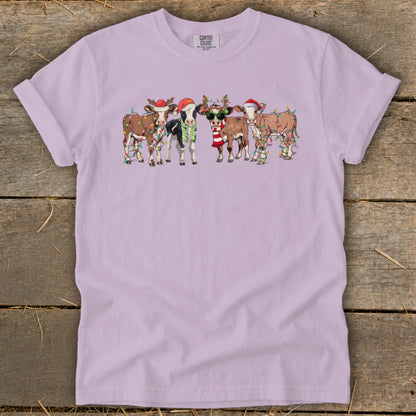 Five cartoon cows wearing Santa hats and Christmas lights.