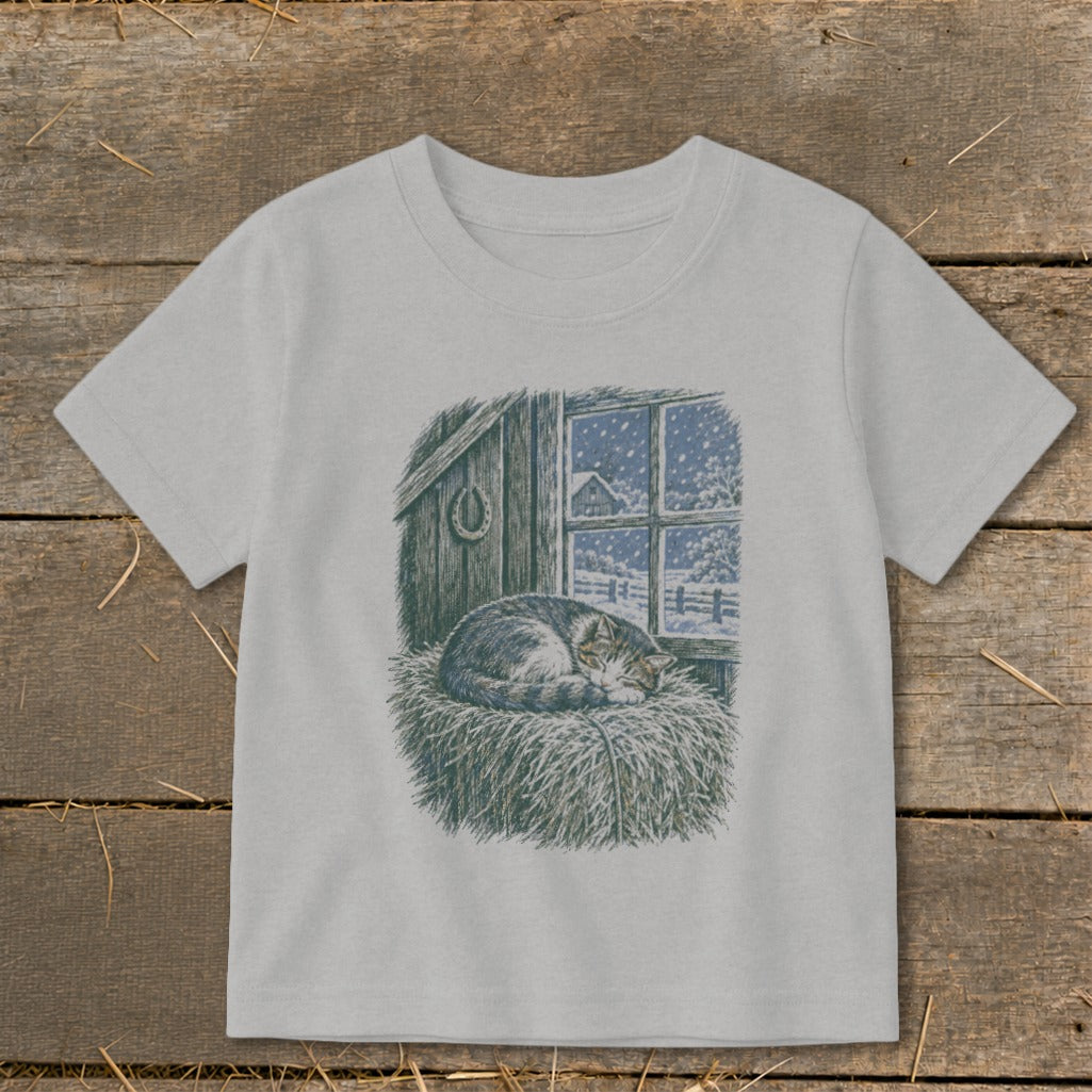 Cat sleeping on hay in front of window showing a snowy farm scene.