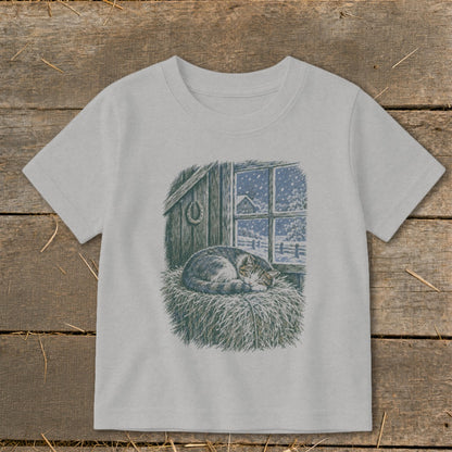 Cat sleeping on hay in front of window showing a snowy farm scene.
