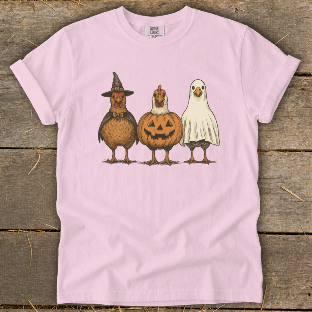 Three chickens dressed as Halloween characters: witch, pumpkin, and ghost.