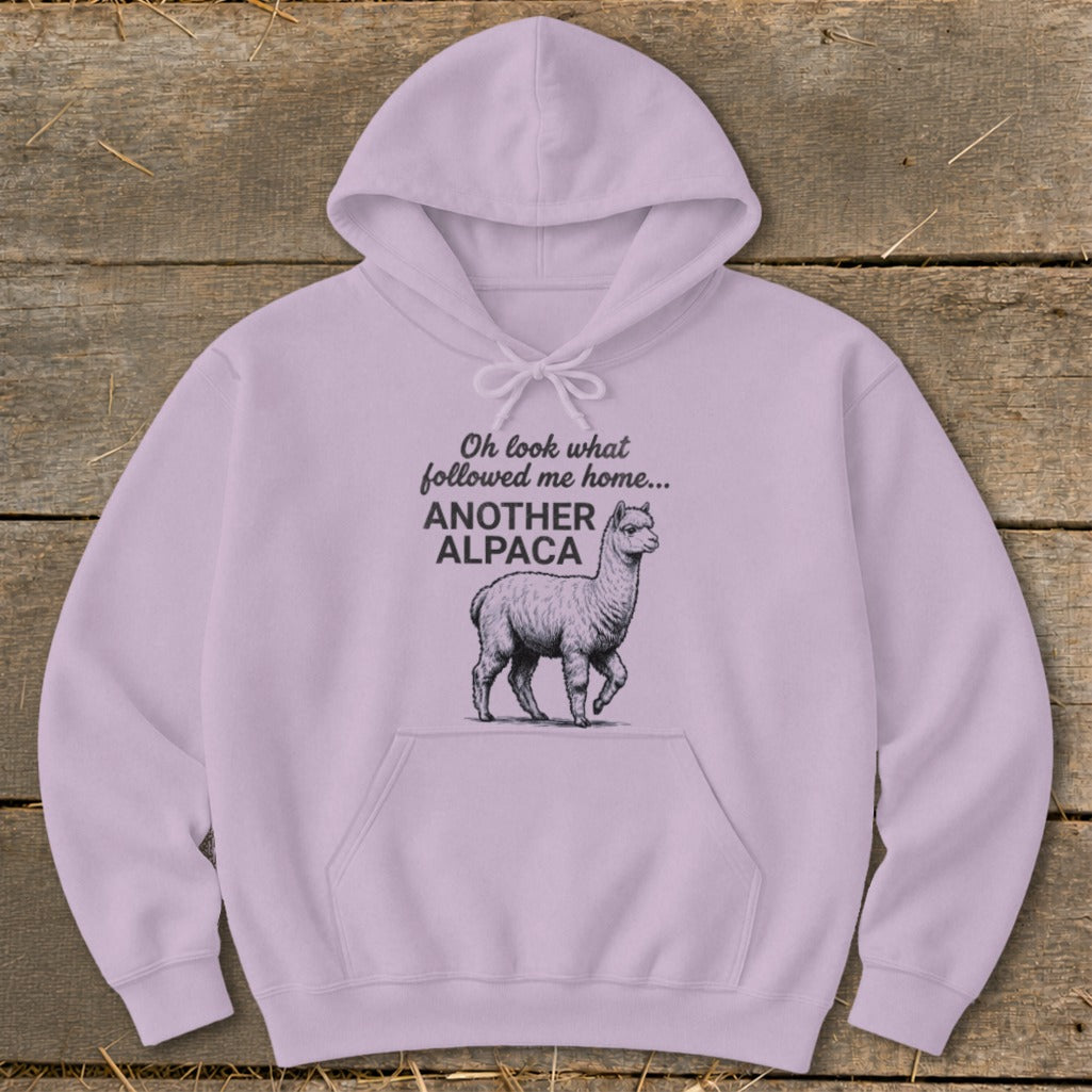 Lavender hoodie with "Oh look what followed me home... ANOTHER ALPACA" text and alpaca illustration.