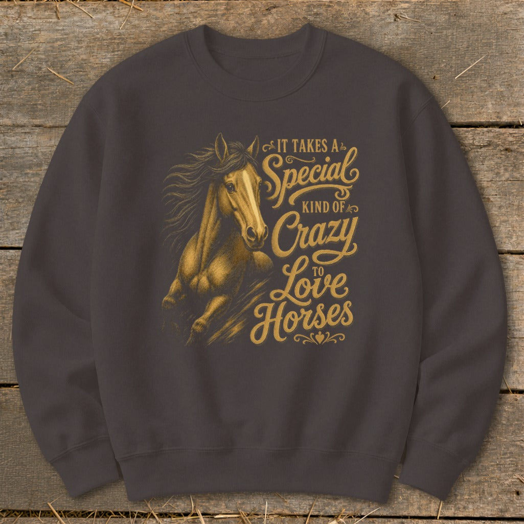 Dark grey sweatshirt with gold text and a horse graphic.