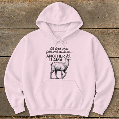 Pink hoodie with "Oh look what followed me home... ANOTHER LLAMA" text and llama graphic.