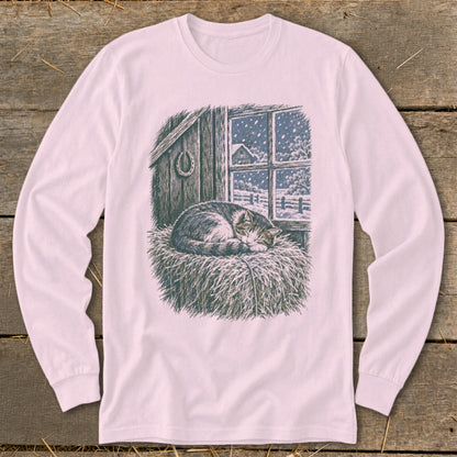 Cat sleeping on hay in front of a snowy window with a barn visible.