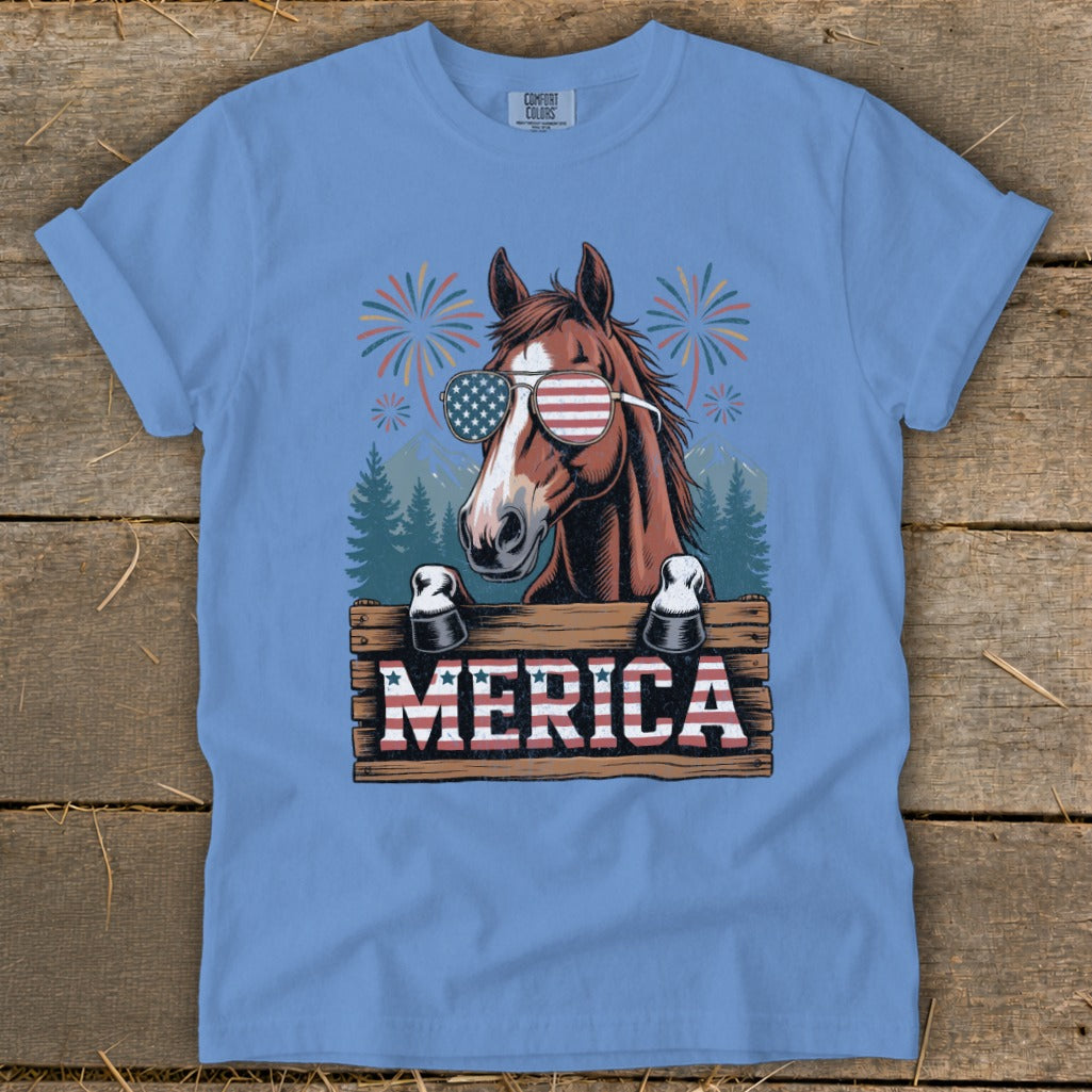 Horse wearing American flag sunglasses with "MERICA" text and fireworks.