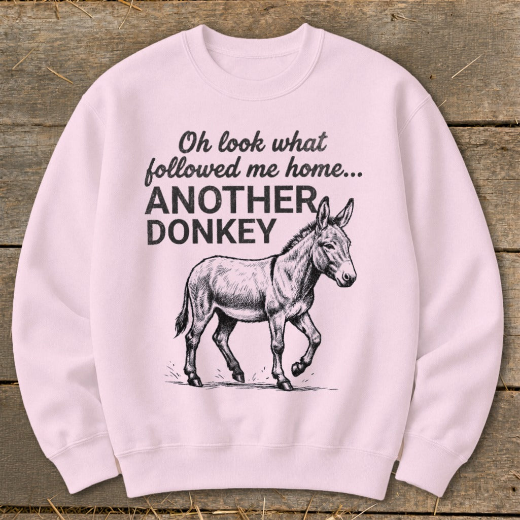 Pink sweatshirt with "Oh look what followed me home... ANOTHER DONKEY" and donkey graphic.