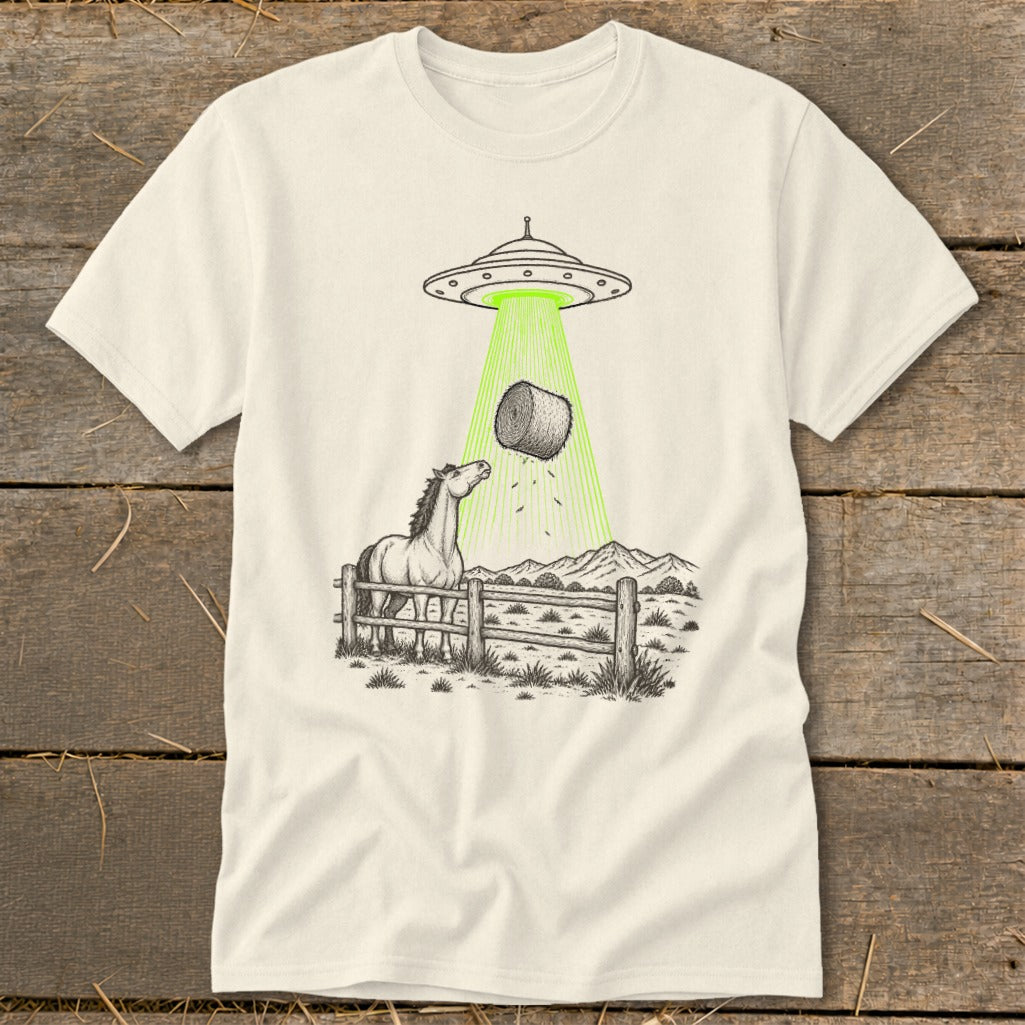 UFO beams hay bale onto a horse in a fenced field with mountains in background.