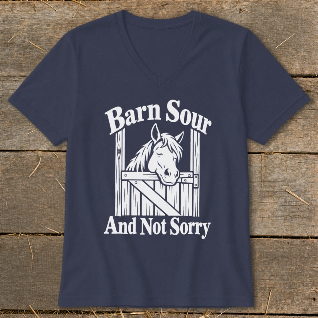 Barn Sour V-neck