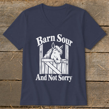 Barn Sour V-neck