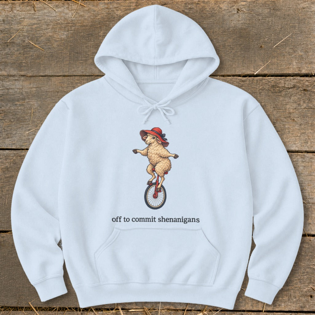 Off To Commit Shenanigans Hoodie
