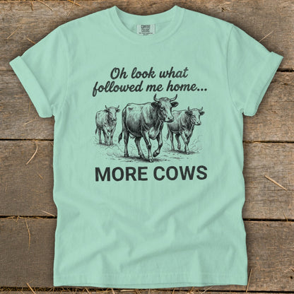 Light teal t-shirt with sketch of three cows and text "Oh look what followed me home... MORE COWS".