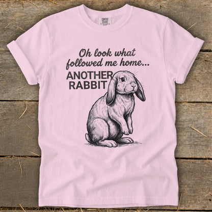 Pink t-shirt with sketch of a rabbit and text "Oh look what followed me home... ANOTHER RABBIT".