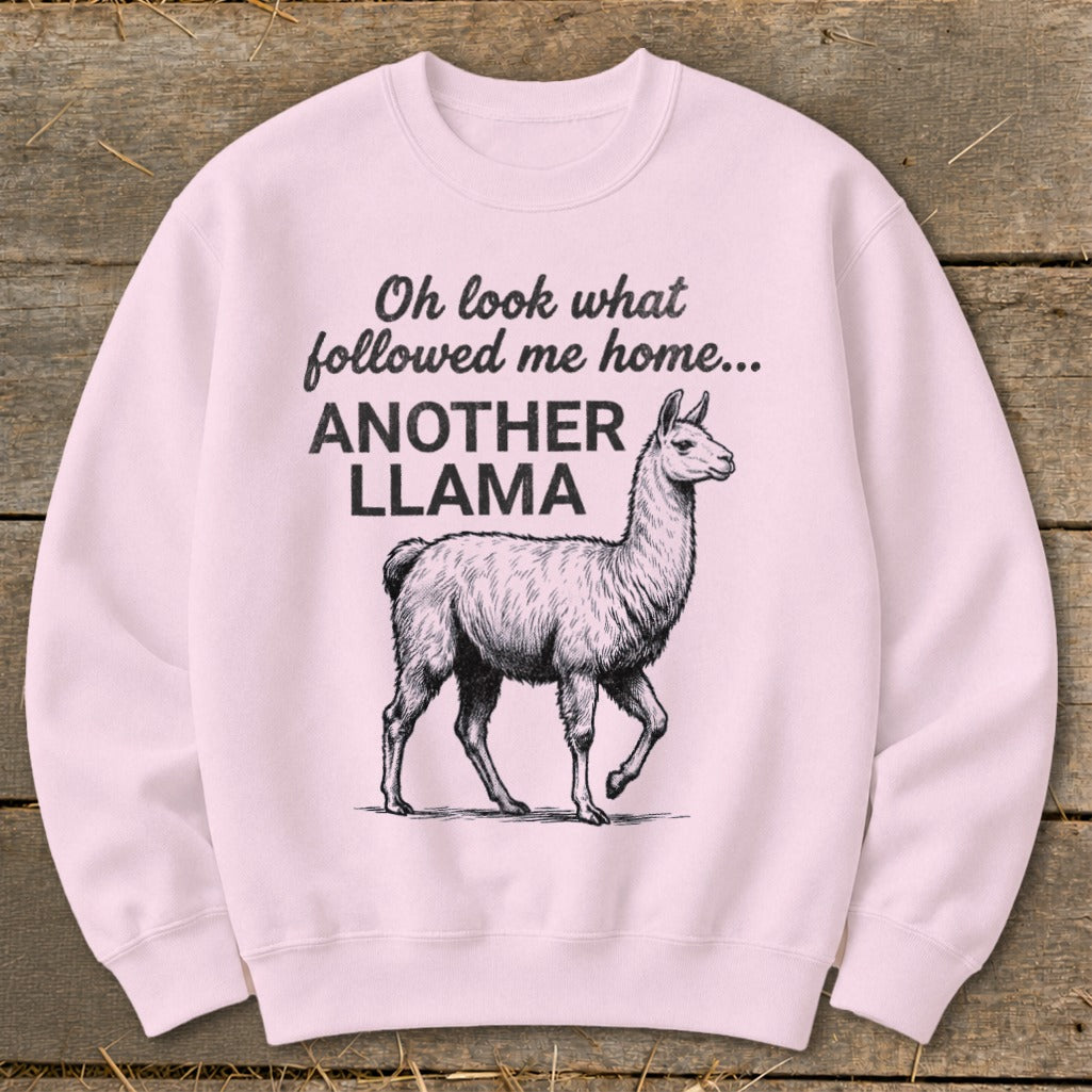 Pink sweatshirt with black text "Oh look what followed me home... ANOTHER LLAMA" and llama graphic.