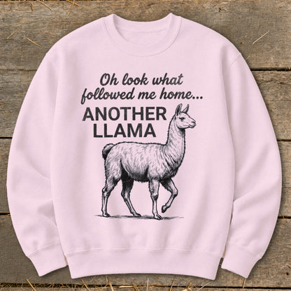 Pink sweatshirt with black text "Oh look what followed me home... ANOTHER LLAMA" and llama graphic.