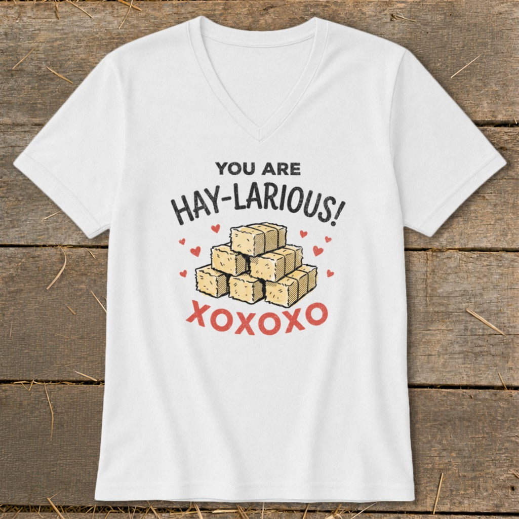 White t-shirt with "You Are Hay-Larious!" text and stack of hay bales.