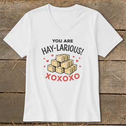 White t-shirt with "You Are Hay-Larious!" text and stack of hay bales.