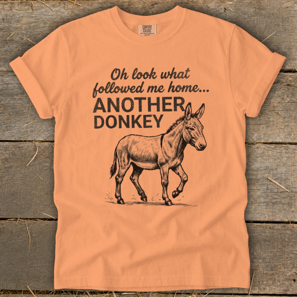 Peach t-shirt with "Oh look what followed me home... ANOTHER DONKEY" and a donkey graphic.