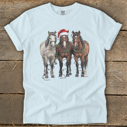 Three horses wearing Christmas wreaths and lights, one with a Santa hat.