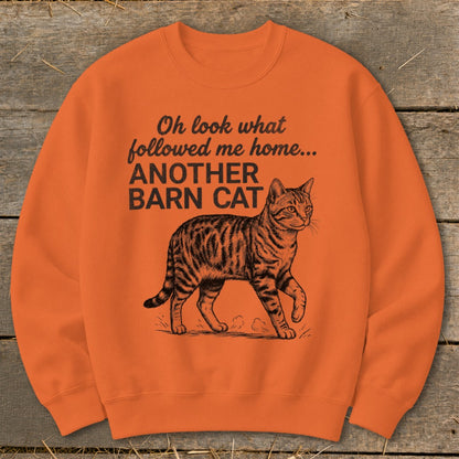 Orange sweatshirt with a tabby cat graphic and text: "Oh look what followed me home... ANOTHER BARN CAT."