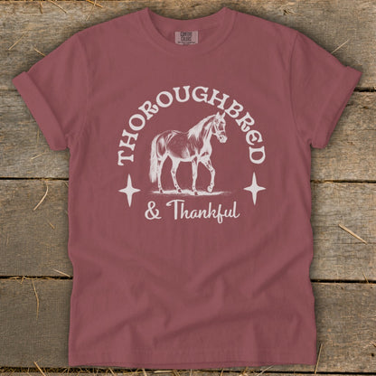 Maroon t-shirt with white graphic of a horse and text "THOROUGHBRED & Thankful".