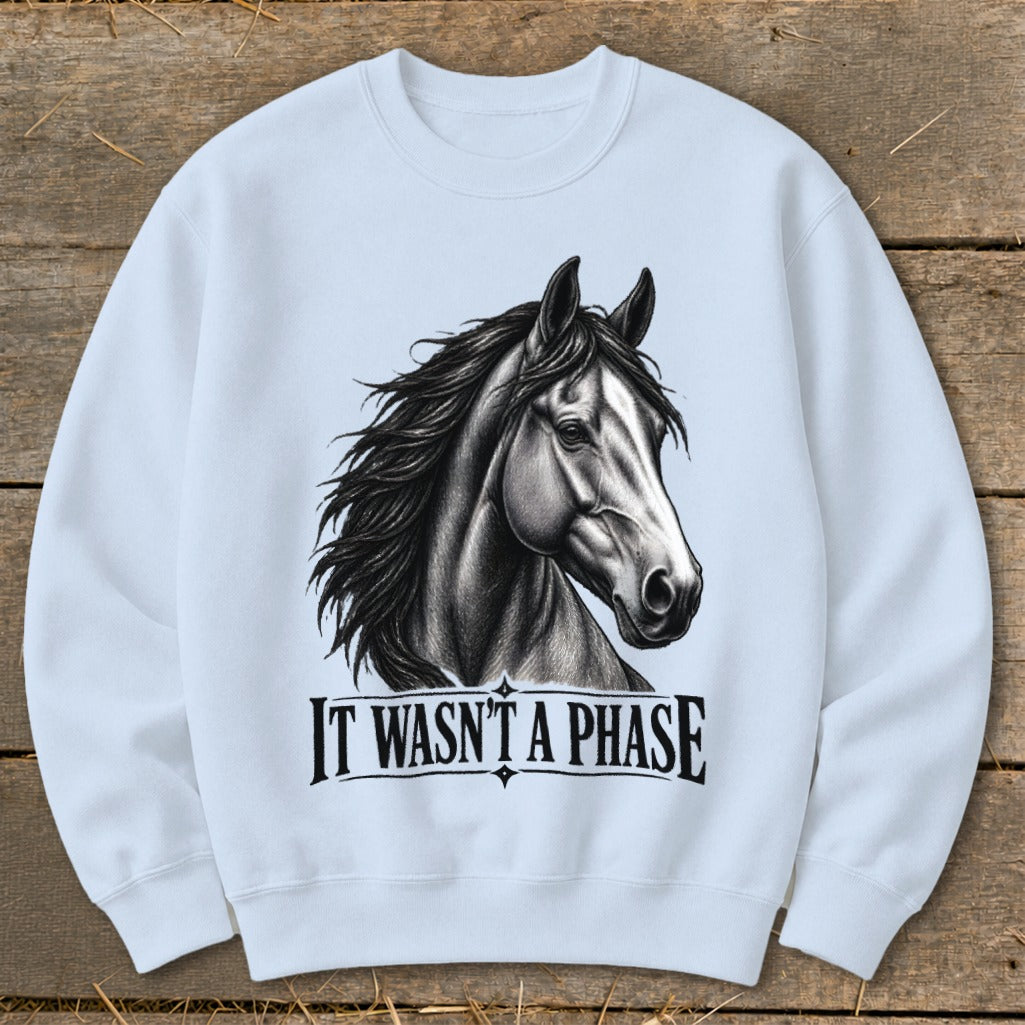 Light blue sweatshirt with a black and white horse graphic and text "IT WASN'T A PHASE".