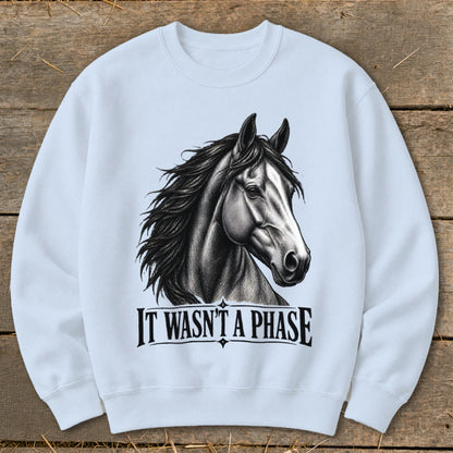 Light blue sweatshirt with a black and white horse graphic and text "IT WASN'T A PHASE".