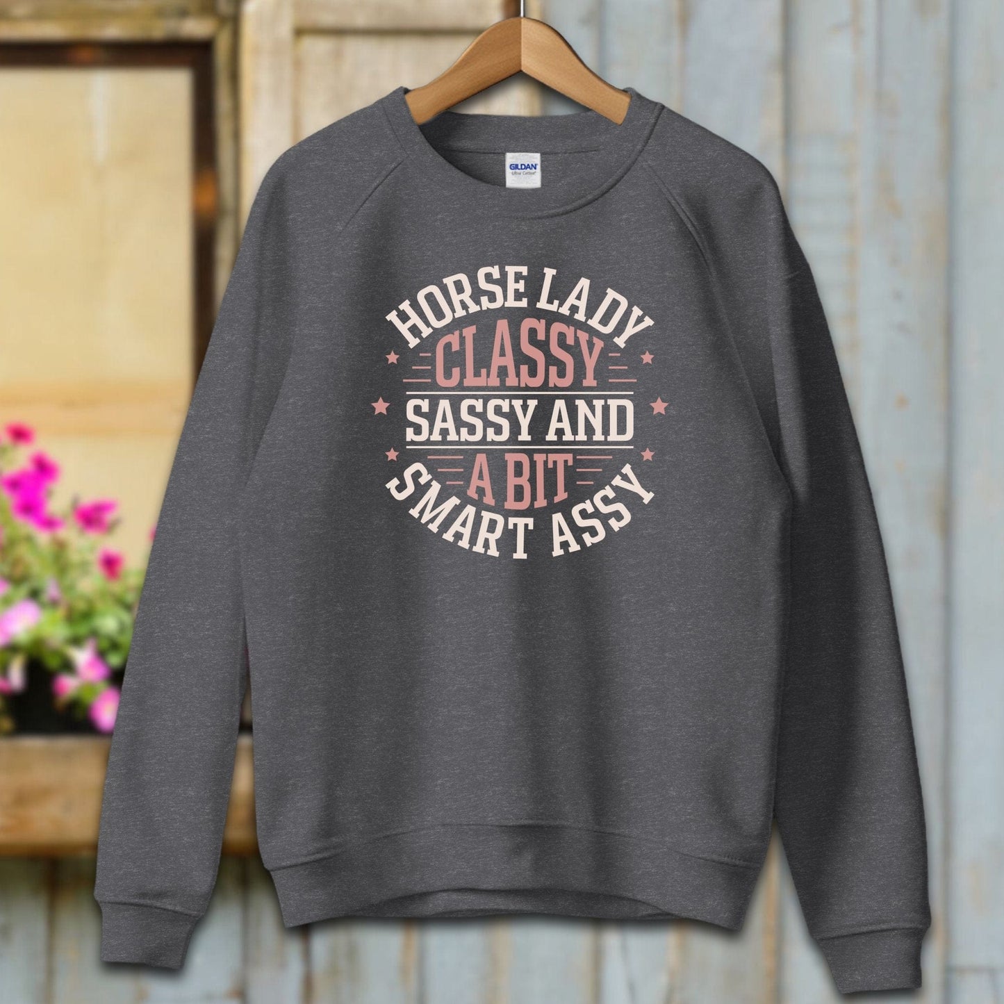 Ladies Shirt Adult Sweatshirt / S / Dark Heather Horse Lady Classy Sassy Shirt