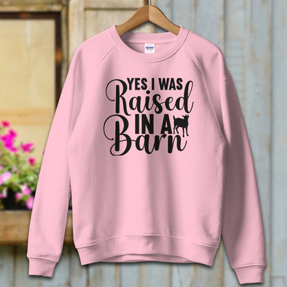 Ladies Shirt Adult Sweatshirt / S / Light Pink Yes I Was Raised In A Barn Shirt