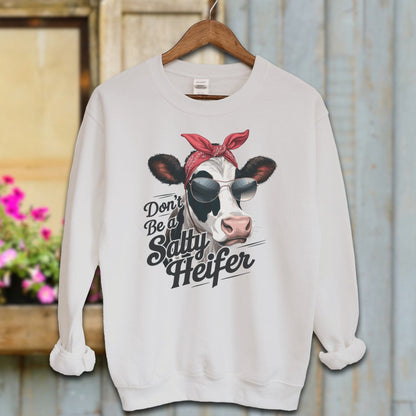 Ladies Shirt Sport Grey / S / Adult Sweatshirt Don't Be a Salty Heifer Shirt