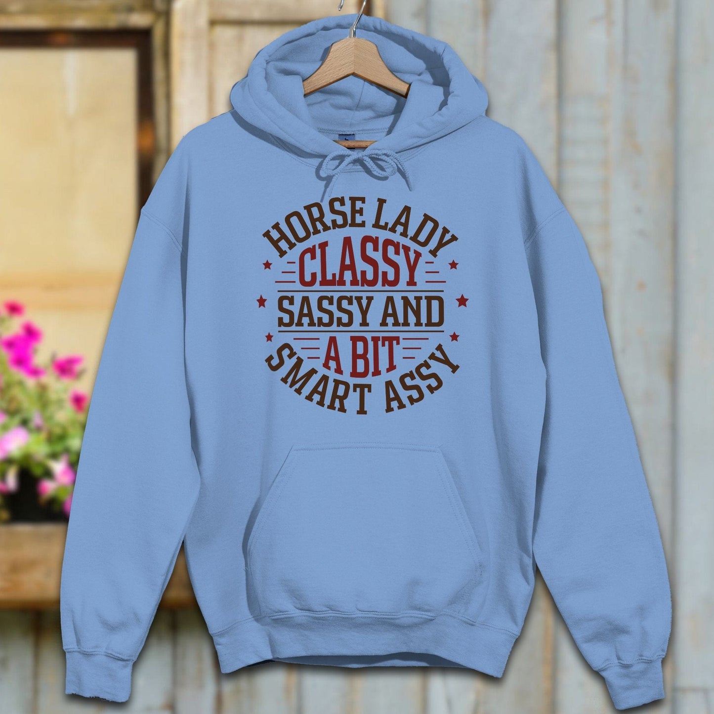 Physical Item Adult Hoodie / S / Carolina Blue Horse Lady Classy Sassy Hoodie