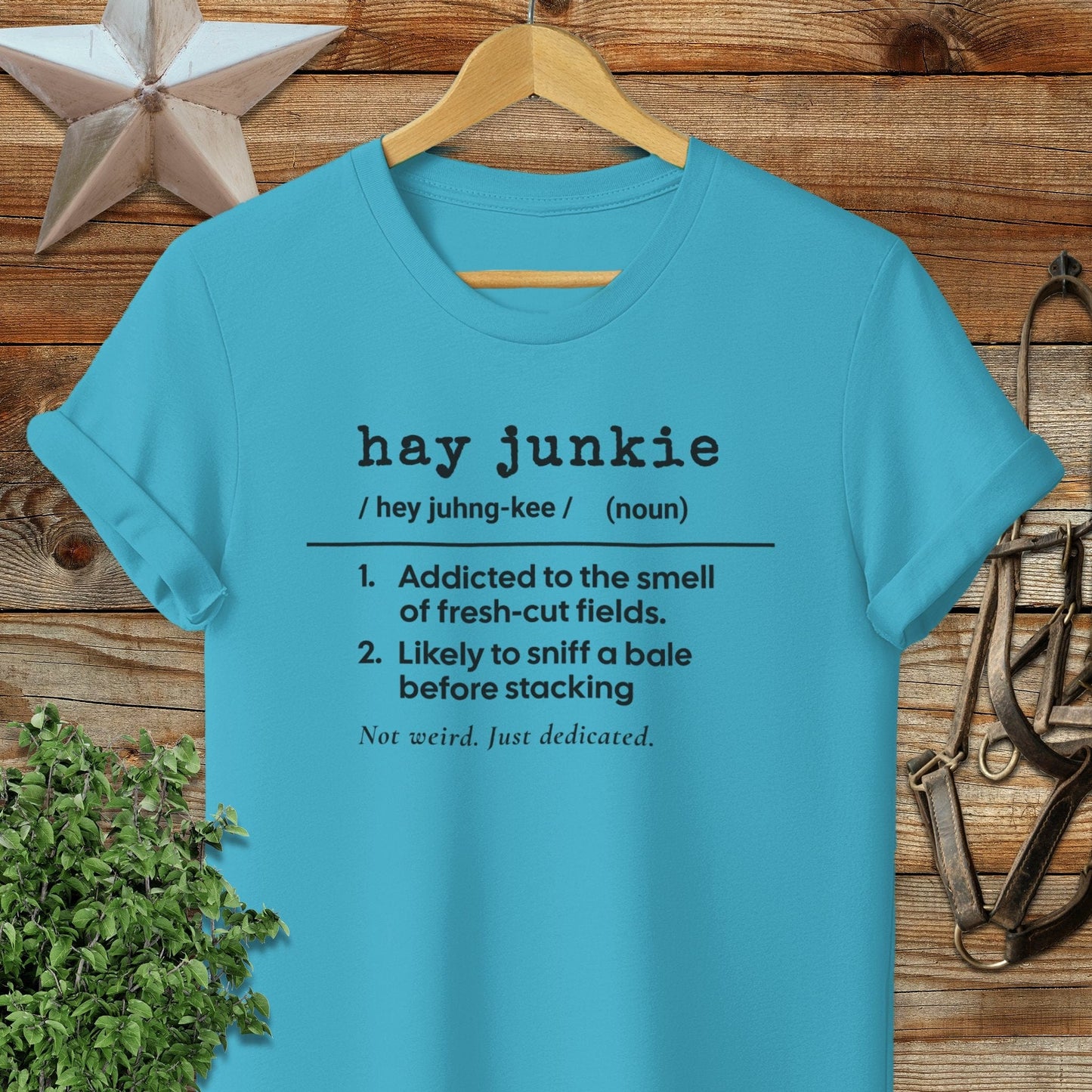 Physical Item Adult T-Shirt / S / Tropical Blue Hay Junkie Definition T-shirt