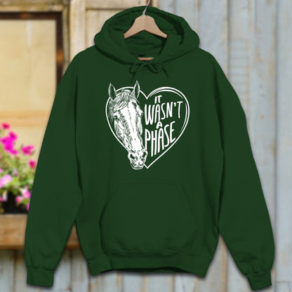 Physical Item S / Forest Green It Wasn't a Phase Hoodie