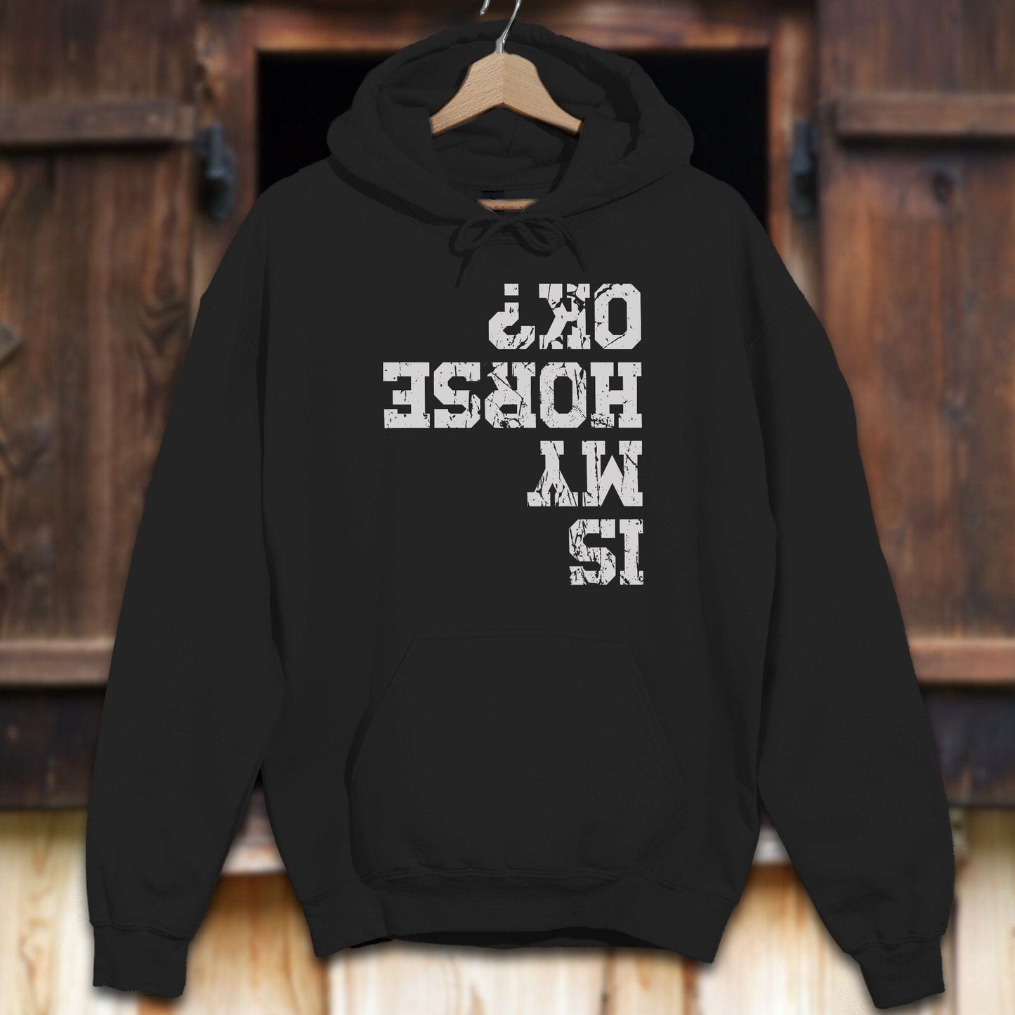 Unisex Hoodie Black / S Is My Horse OK Hoodie