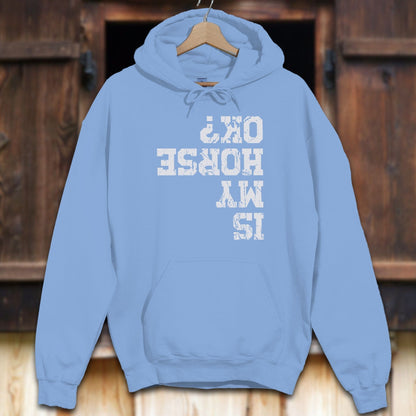 Unisex Hoodie Carolina Blue / S Is My Horse OK Hoodie