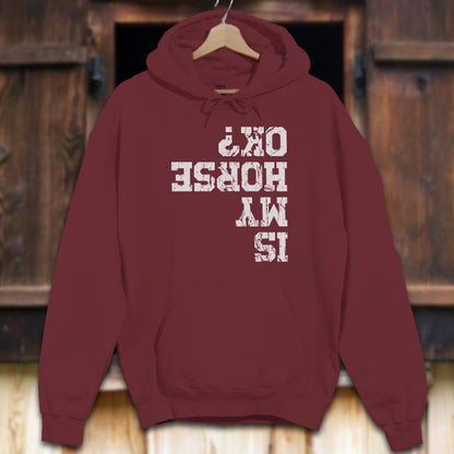 Unisex Hoodie Maroon / S Is My Horse OK Hoodie