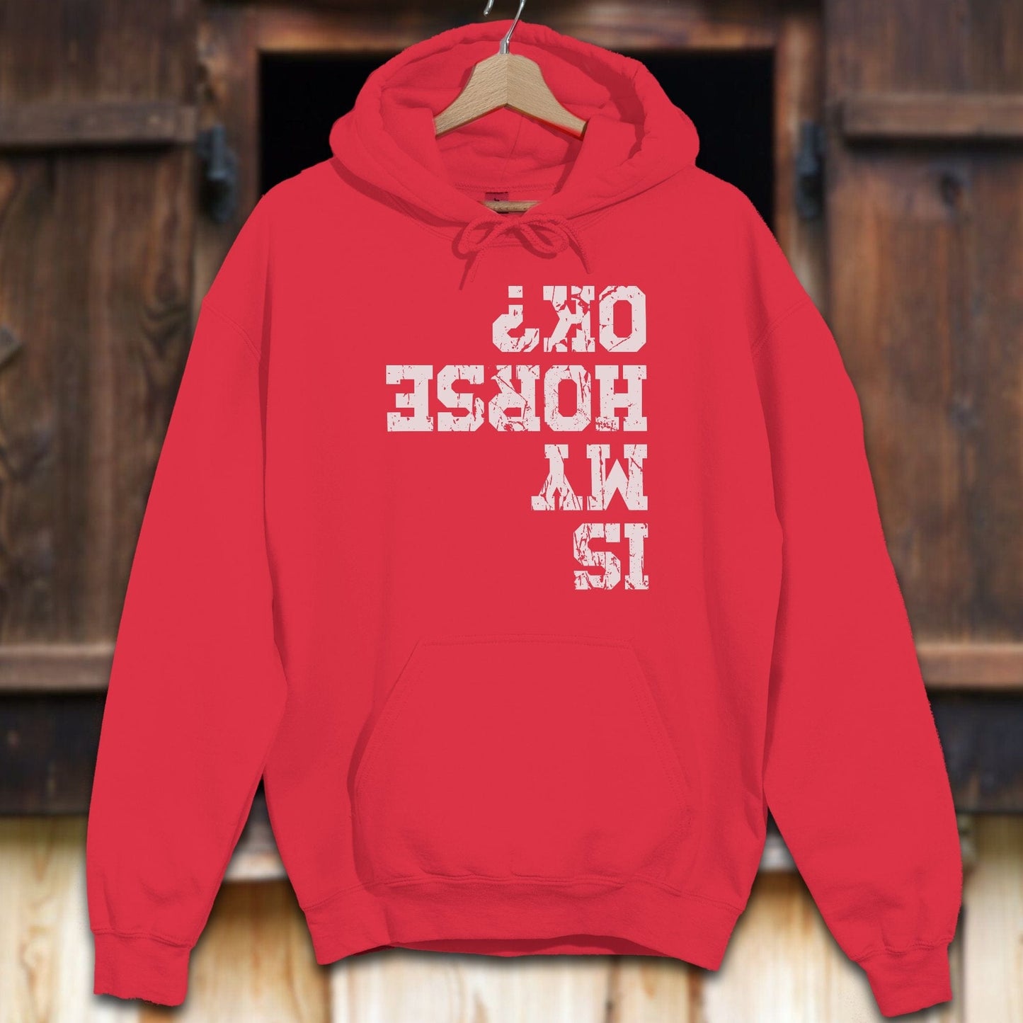 Unisex Hoodie Red / S Is My Horse OK Hoodie