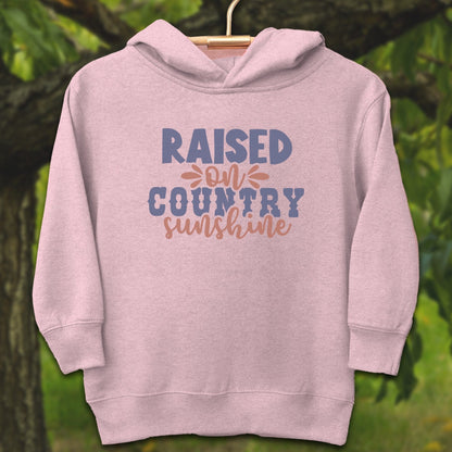 Youth Shirts Hooded Sweatshirt Toddler / 2T / Pink Raised on Country Sunshine - Youth Shirt