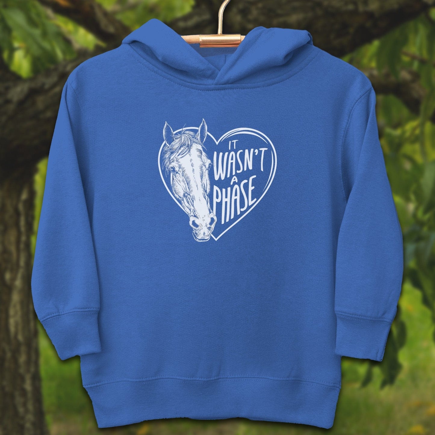 Youth Shirts Hooded Sweatshirt Toddler / 2T / Royal It Wasn't a Phase - Youth Shirt