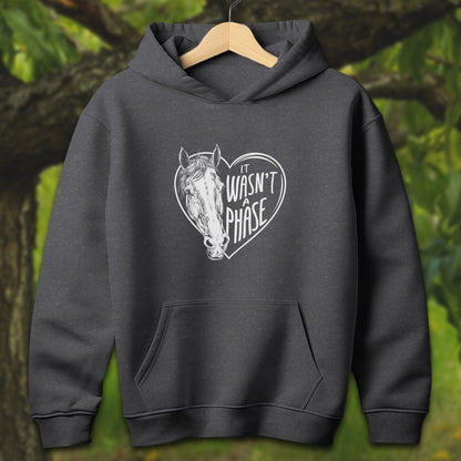 Youth Shirts Hooded Sweatshirt Youth / S / Dark Heather It Wasn't a Phase - Youth Shirt