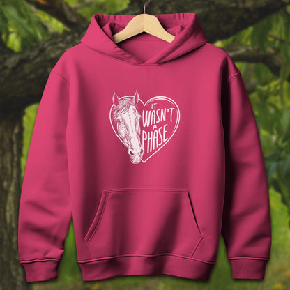 Youth Shirts Hooded Sweatshirt Youth / S / Heliconia It Wasn't a Phase - Youth Shirt