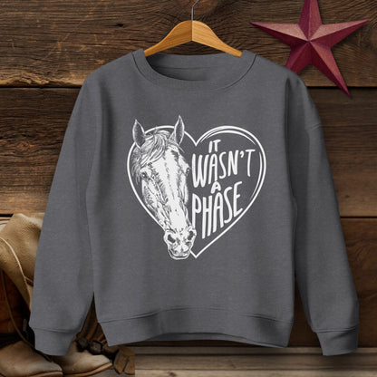 Youth Shirts Sweatshirt Youth / Dark Heather / XS It Wasn't a Phase - Youth Shirt