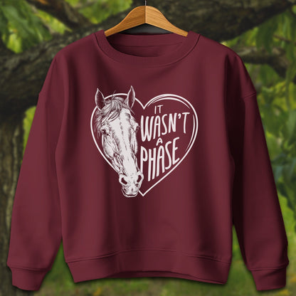 Youth Shirts Sweatshirt Youth / XS / Garnet It Wasn't a Phase - Youth Shirt