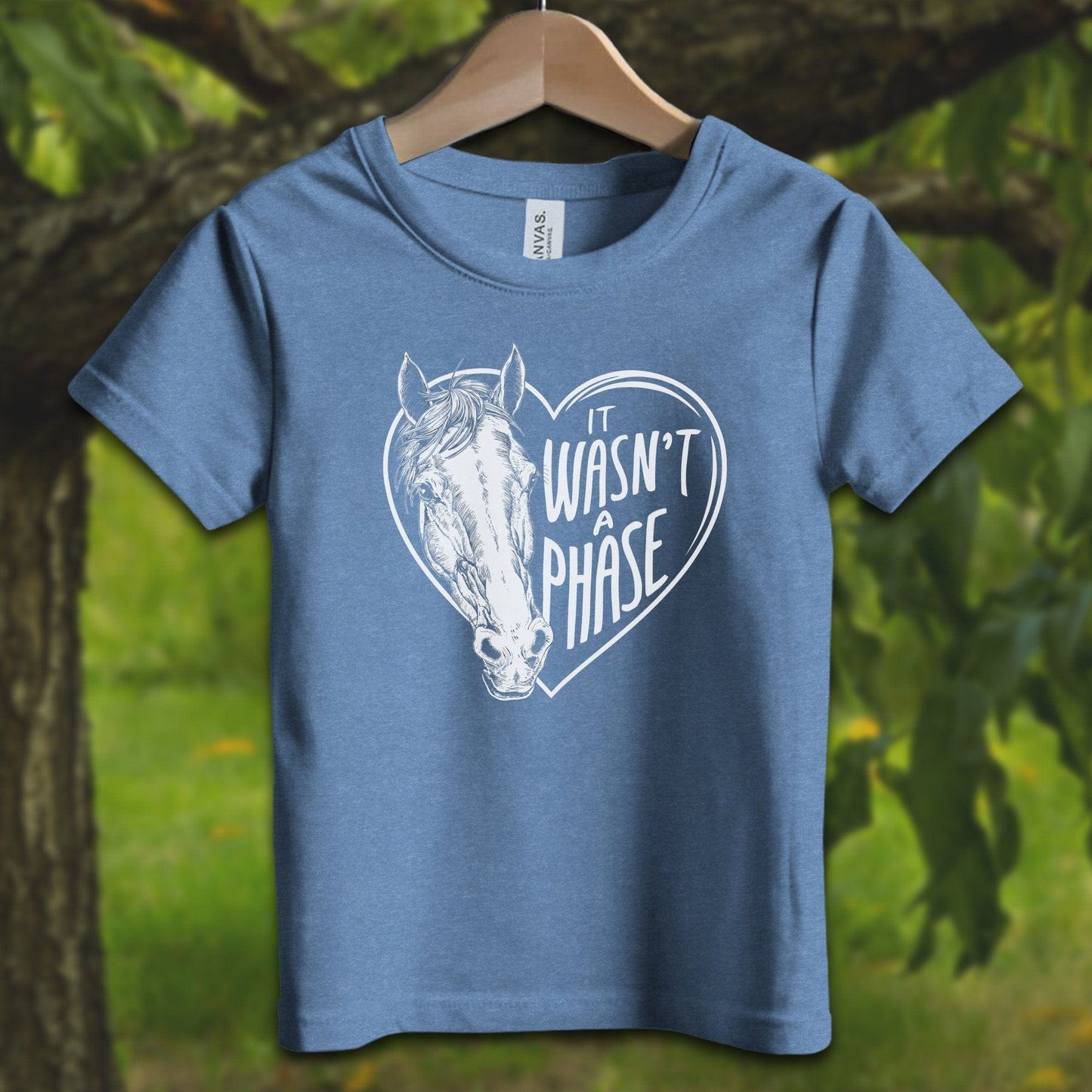 Youth Shirts T-Shirt Toddler / 2T / Heather Columbia Blue It Wasn't a Phase - Youth Shirt